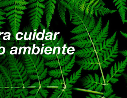 Tips para cuidar el medio ambiente